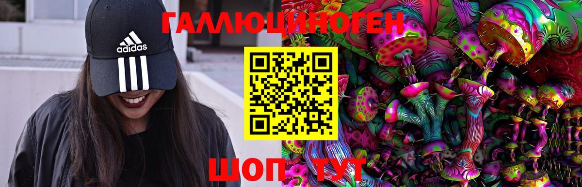 Галлюциногенные грибы Psilocybe  Галлюциногенные грибы прущие грибы  Кандалакша  Вход с VPN 